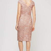 Short Embroidered Sequin Lace Dress