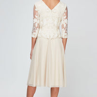 Petite Embroidered Tulle Dress with Illusion Sleeves & Scallop Trim